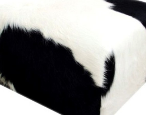 Puff Cow